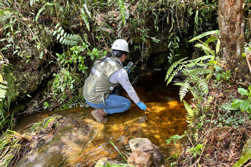 Documentos de instrumentos de gestión ambiental