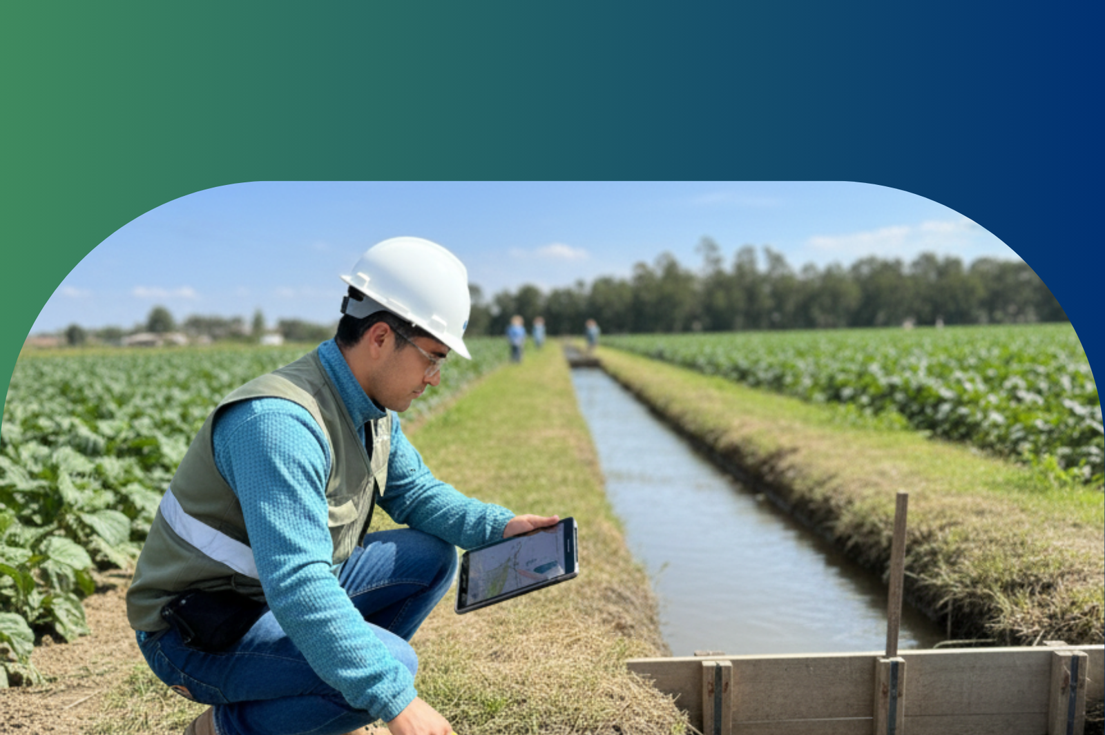 Plan Ambiental Detallado (PAD) sustituye al PAMA en el sector agrario, según normativa del MIDAGRI